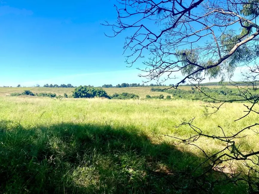 Fazenda / Haras à venda, 73m2 em Santa Rosa De Viterbo - SP - imagem 4 Foto 4 de Fazenda / Haras à venda, 73m2 em Santa Rosa De Viterbo - SP