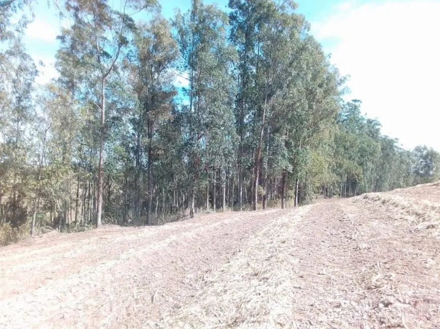 Foto 5 de Fazenda / Haras à venda, 99m2 em Área Rural de Piracicaba, Piracicaba - SP