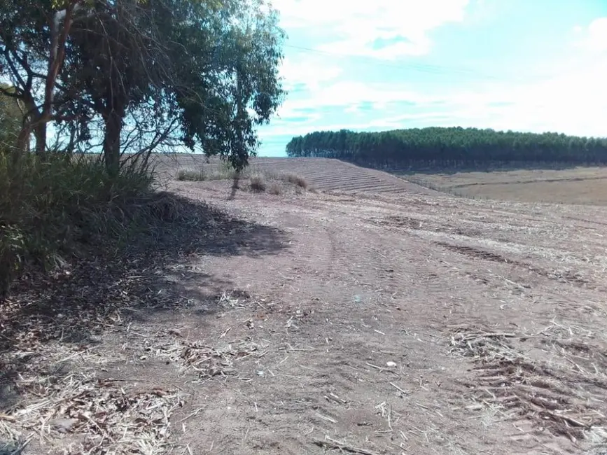 Foto 2 de Fazenda / Haras à venda, 99m2 em Área Rural de Piracicaba, Piracicaba - SP