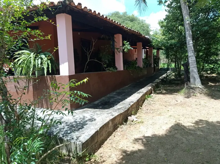 Foto 4 de Fazenda / Haras à venda, 70m2 em Área Rural de Floriano, Floriano - PI