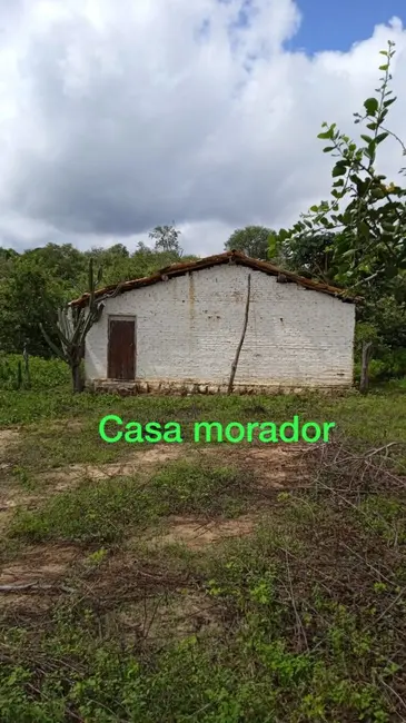 Foto 7 de Fazenda / Haras à venda, 70m2 em Área Rural de Floriano, Floriano - PI