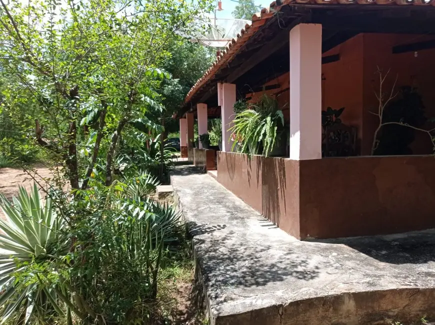 Foto 9 de Fazenda / Haras à venda, 70m2 em Área Rural de Floriano, Floriano - PI