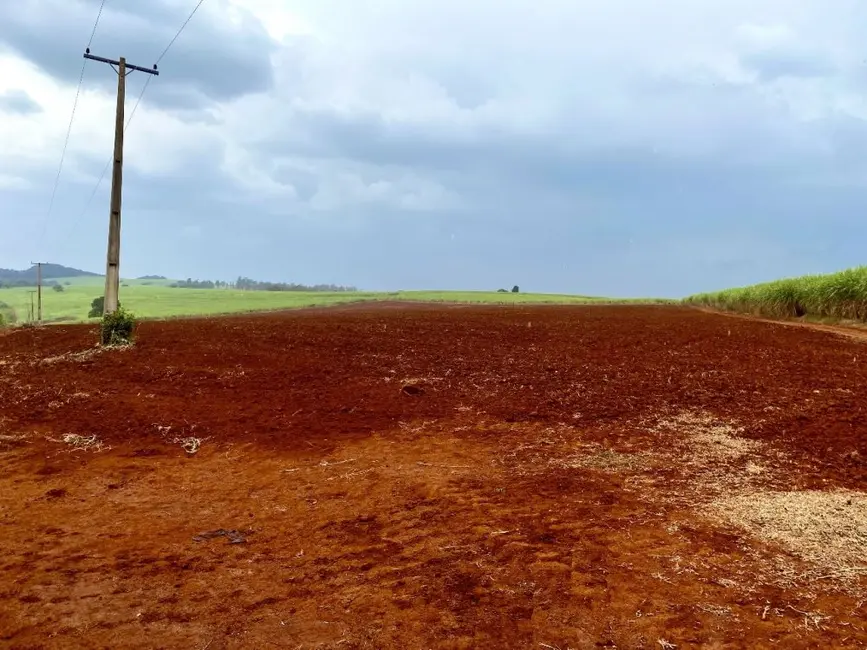 Foto 3 de Fazenda / Haras à venda, 34m2 em Descalvado - SP
