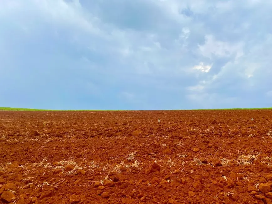 Foto 6 de Fazenda / Haras à venda, 34m2 em Descalvado - SP