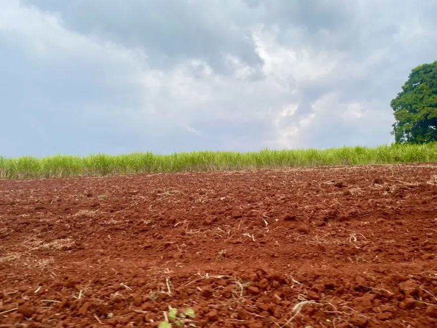 Foto 5 de Fazenda / Haras à venda, 34m2 em Descalvado - SP