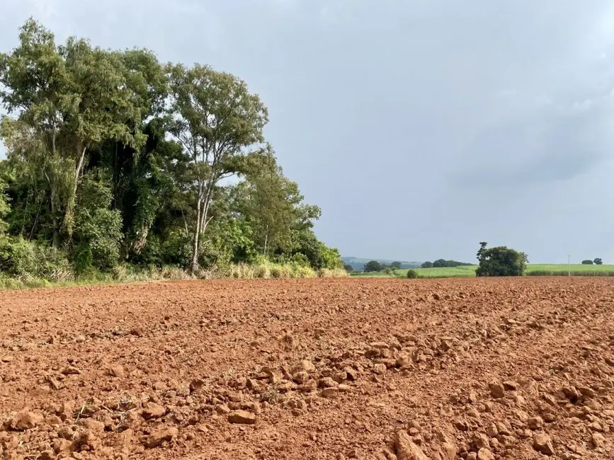 Foto 4 de Fazenda / Haras à venda, 34m2 em Descalvado - SP