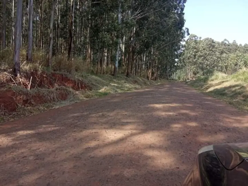 Foto 4 de Fazenda / Haras à venda, 800m2 em Ribeirao Do Pinhal - PR