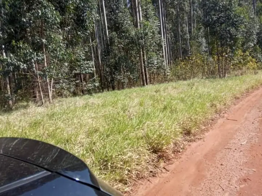 Foto 5 de Fazenda / Haras à venda, 800m2 em Ribeirao Do Pinhal - PR