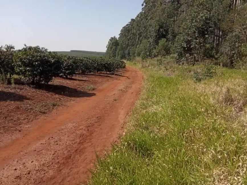 Foto 9 de Fazenda / Haras à venda, 800m2 em Ribeirao Do Pinhal - PR