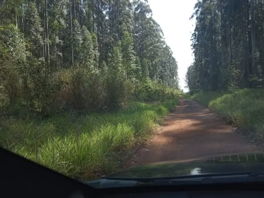 Foto 7 de Fazenda / Haras à venda, 800m2 em Ribeirao Do Pinhal - PR
