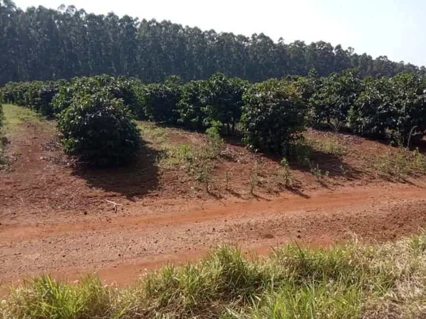 Foto 6 de Fazenda / Haras à venda, 800m2 em Ribeirao Do Pinhal - PR