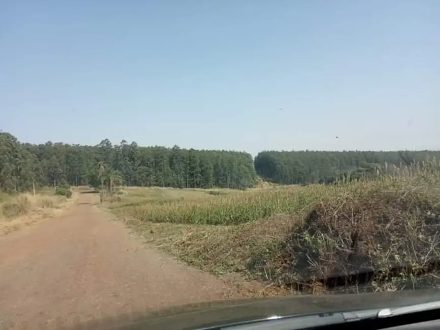Foto 3 de Fazenda / Haras à venda, 800m2 em Ribeirao Do Pinhal - PR