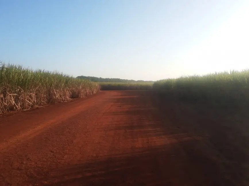 Foto 2 de Fazenda / Haras à venda, 2600m2 em Centro, Campinas - SP