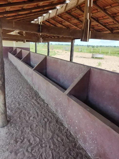 Foto 9 de Fazenda / Haras à venda, 537m2 em Ribas Do Rio Pardo - MS