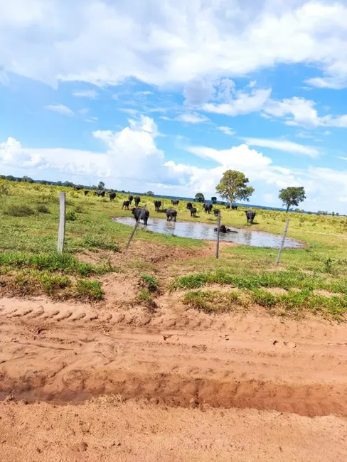 Foto 8 de Fazenda / Haras à venda, 537m2 em Ribas Do Rio Pardo - MS