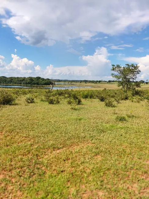 Foto 5 de Fazenda / Haras à venda, 537m2 em Ribas Do Rio Pardo - MS