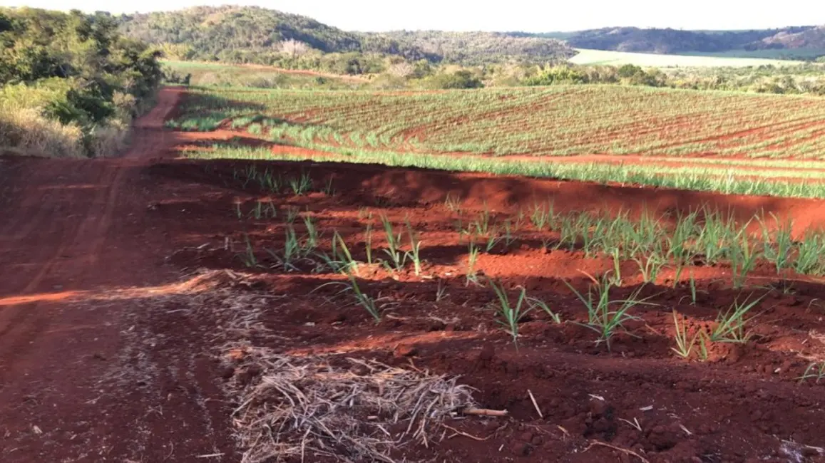 Foto 3 de Fazenda / Haras à venda, 174m2 em Ibate - SP
