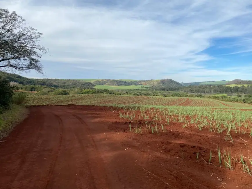 Foto 8 de Fazenda / Haras à venda, 174m2 em Ibate - SP