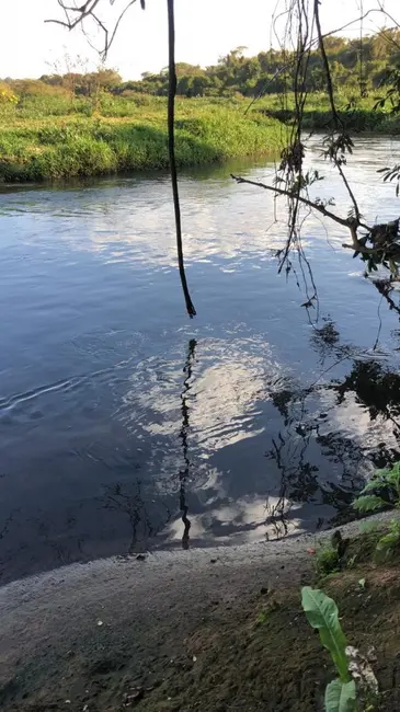 Foto 9 de Fazenda / Haras à venda, 174m2 em Ibate - SP