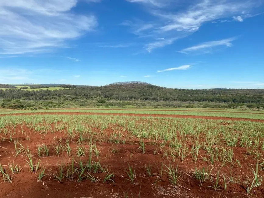 Foto 1 de Fazenda / Haras à venda, 174m2 em Ibate - SP