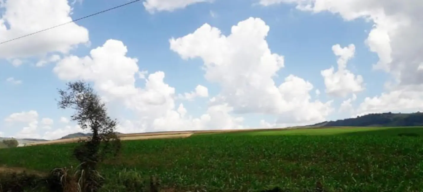 Foto 3 de Fazenda / Haras à venda, 222m2 em Serra Negra - SP