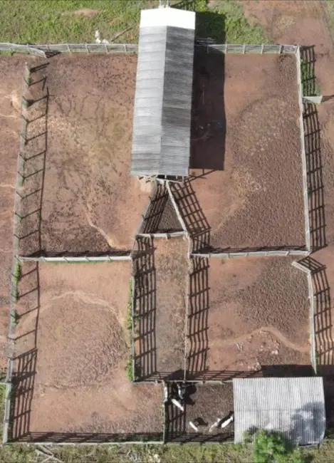 Foto 3 de Fazenda / Haras à venda, 1033m2 em Setor Central, Paraiso Do Tocantins - TO