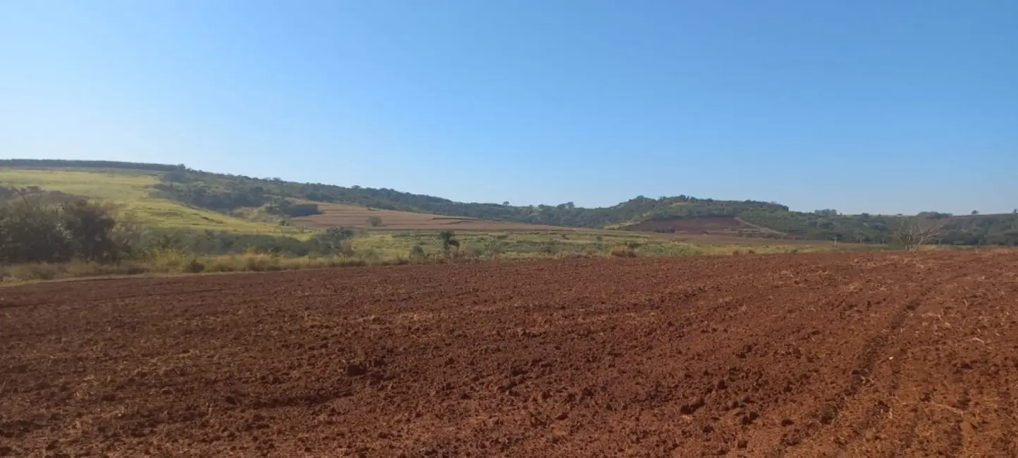 Foto 4 de Fazenda / Haras à venda, 27m2 em Centro, Sao Carlos - SP