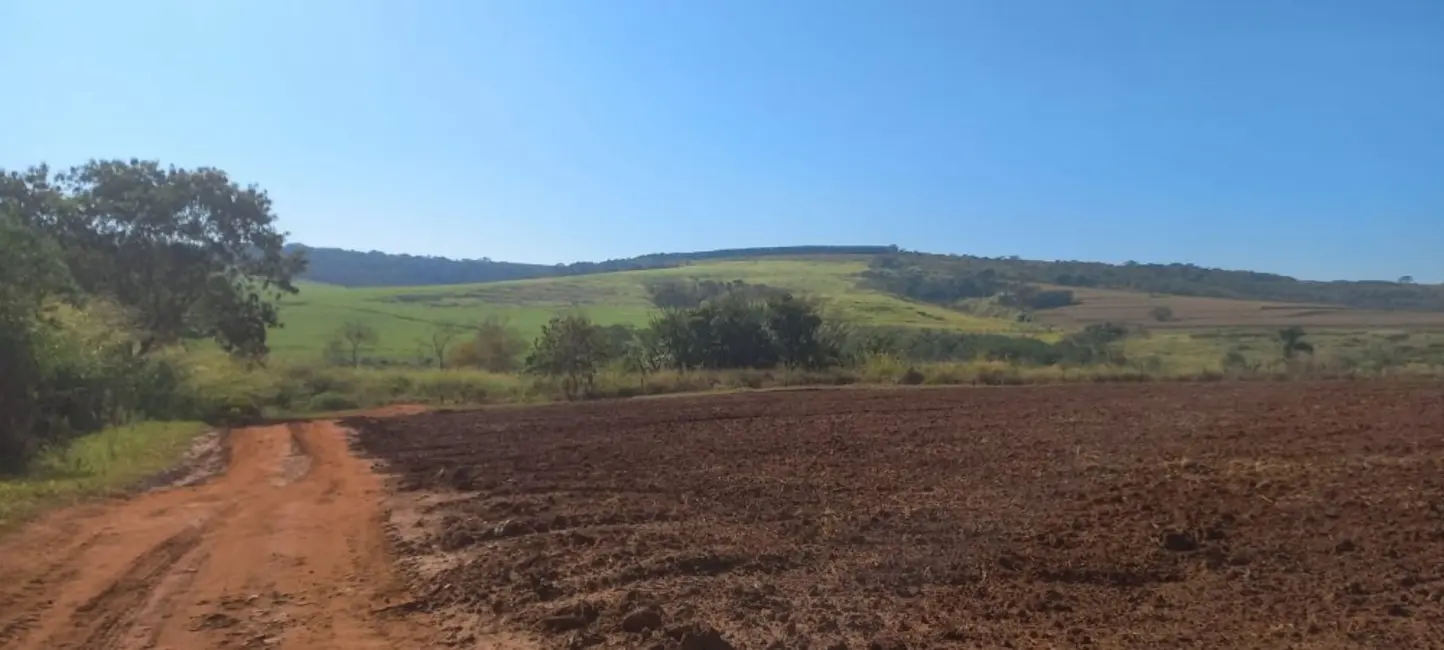 Foto 5 de Fazenda / Haras à venda, 27m2 em Centro, Sao Carlos - SP