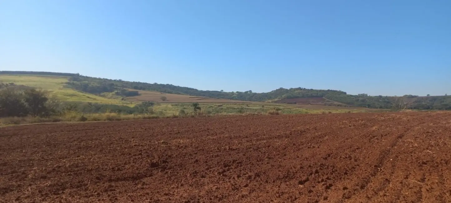 Foto 6 de Fazenda / Haras à venda, 27m2 em Centro, Sao Carlos - SP