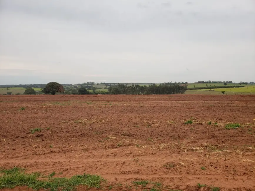 Foto 3 de Fazenda / Haras à venda, 532400m2 em Palestina - SP