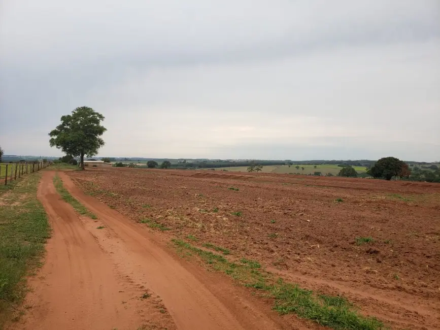 Foto 5 de Fazenda / Haras à venda, 532400m2 em Palestina - SP