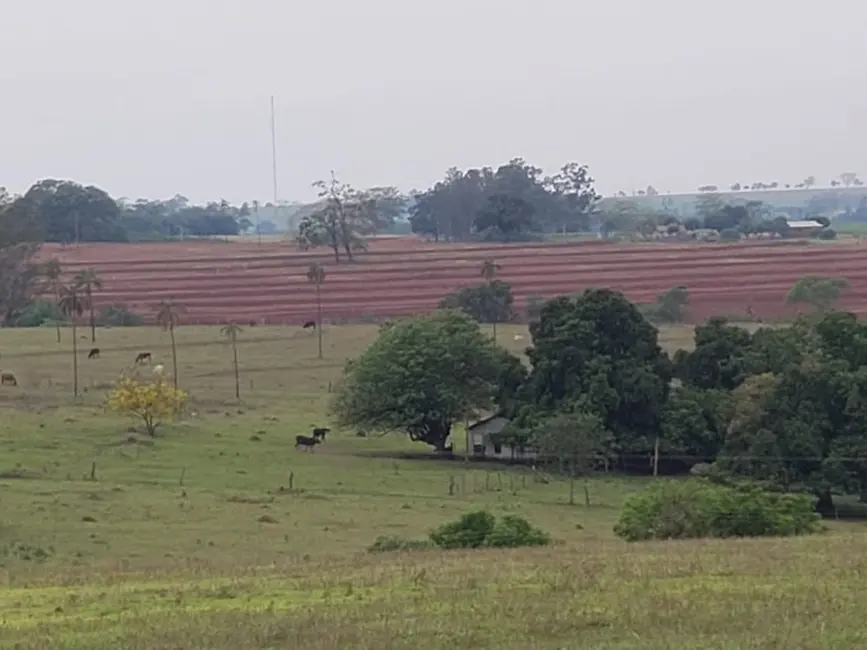 Foto 8 de Fazenda / Haras à venda, 532400m2 em Palestina - SP