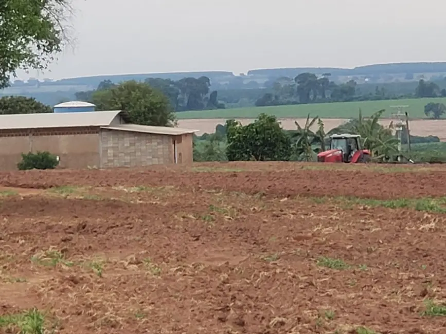 Foto 6 de Fazenda / Haras à venda, 532400m2 em Palestina - SP