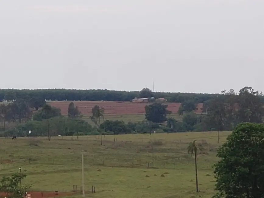 Foto 2 de Fazenda / Haras à venda, 532400m2 em Palestina - SP