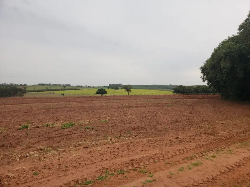 Foto 1 de Fazenda / Haras à venda, 532400m2 em Palestina - SP
