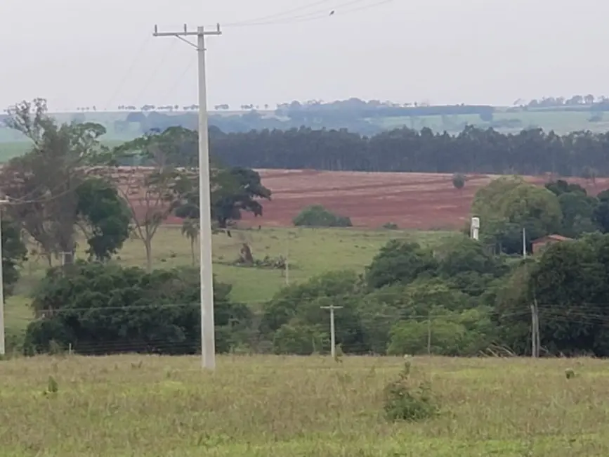 Foto 4 de Fazenda / Haras à venda, 532400m2 em Palestina - SP
