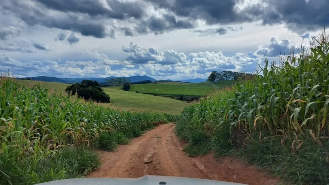 Foto 5 de Fazenda / Haras à venda, 178m2 em Jesuania - MG