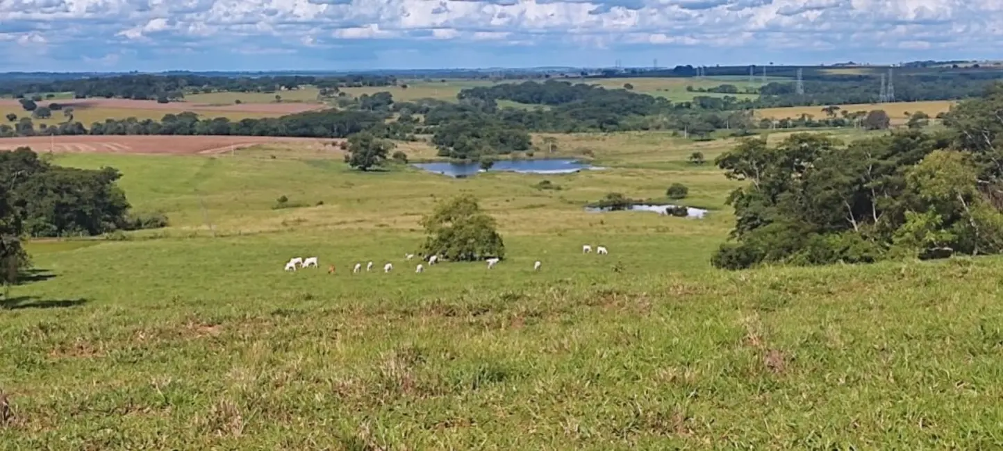 Foto 1 de Fazenda / Haras à venda, 266m2 em Centro, Birigui - SP