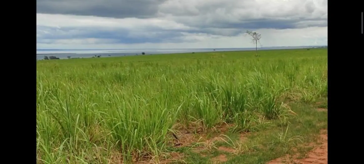 Foto 2 de Fazenda / Haras à venda, 1275m2 em Martinopolis - SP