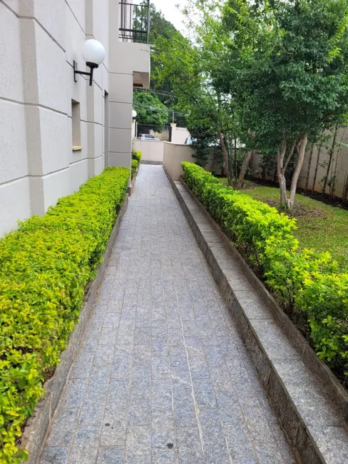 Foto 3 de Apartamento com 3 quartos à venda, 79m2 em Vila Matilde, São Paulo - SP