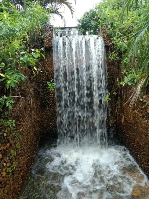 Foto 4 de Fazenda / Haras à venda, 280m2 em Juquia - SP