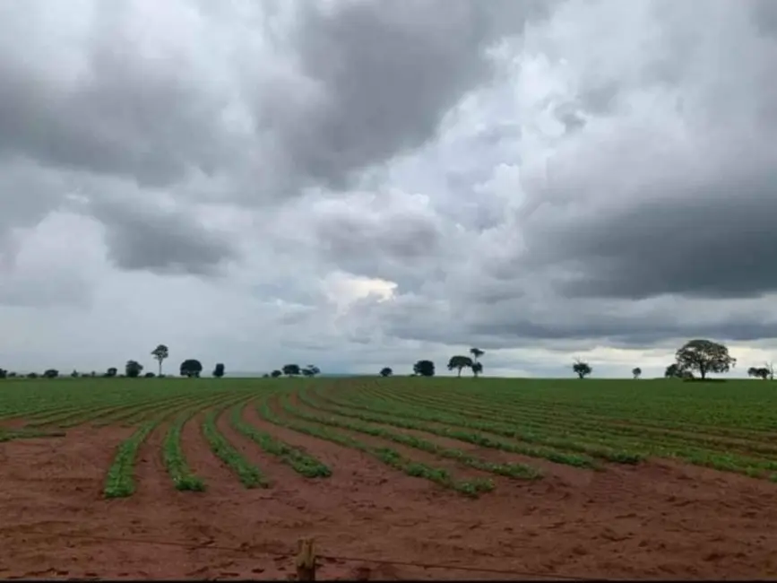 Foto 5 de Fazenda / Haras à venda, 1467m2 em Área Rural de Ourinhos, Ourinhos - SP