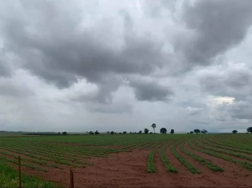 Foto 4 de Fazenda / Haras à venda, 1467m2 em Área Rural de Ourinhos, Ourinhos - SP
