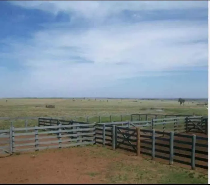 Foto 2 de Fazenda / Haras à venda, 1467m2 em Área Rural de Ourinhos, Ourinhos - SP