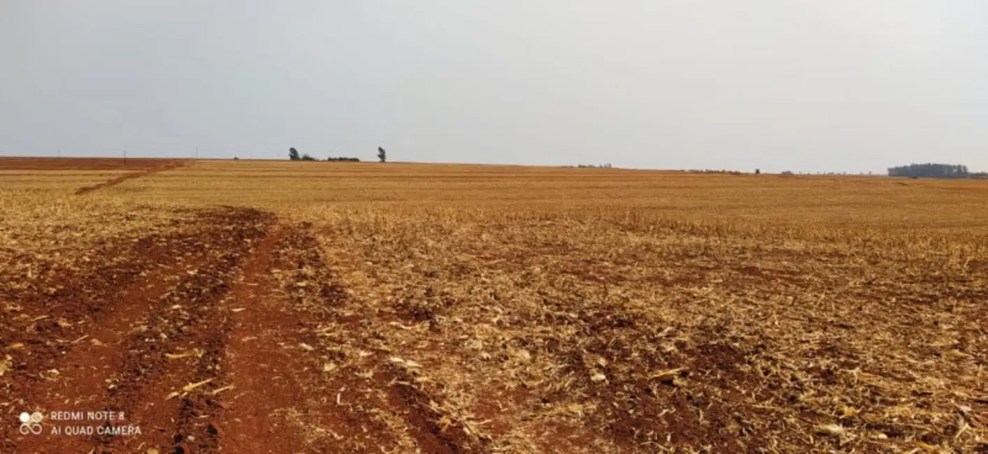 Foto 4 de Fazenda / Haras à venda, 108m2 em Área Rural de Campo Mourão, Campo Mourao - PR