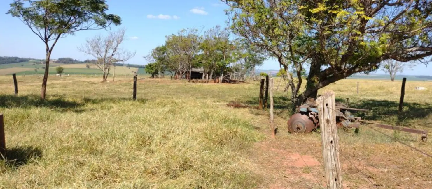 Foto 6 de Fazenda / Haras à venda, 108m2 em Área Rural de Campo Mourão, Campo Mourao - PR