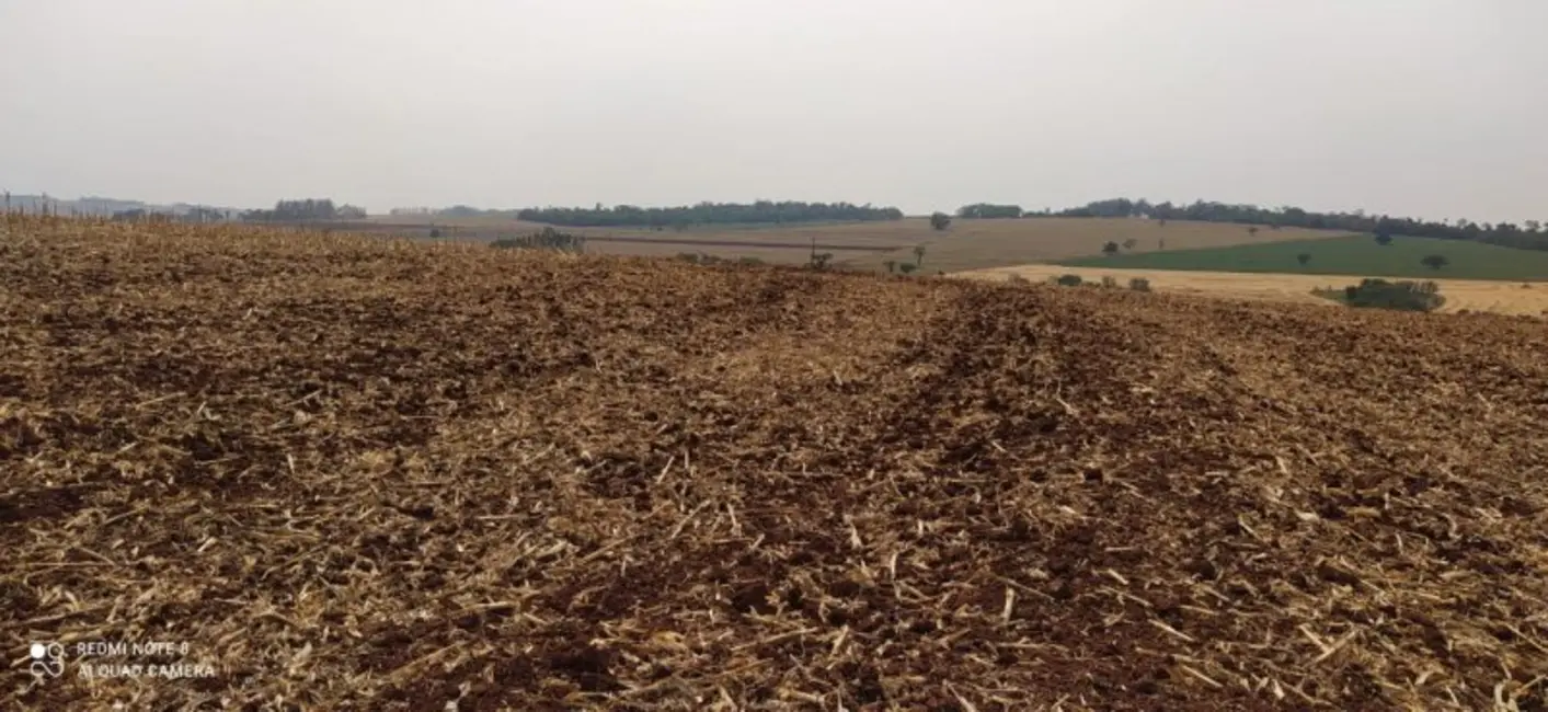 Foto 5 de Fazenda / Haras à venda, 108m2 em Área Rural de Campo Mourão, Campo Mourao - PR