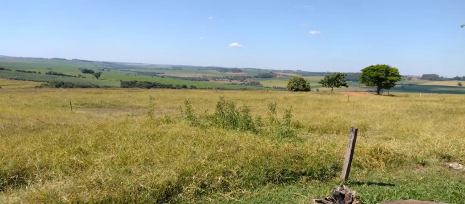 Foto 9 de Fazenda / Haras à venda, 108m2 em Área Rural de Campo Mourão, Campo Mourao - PR