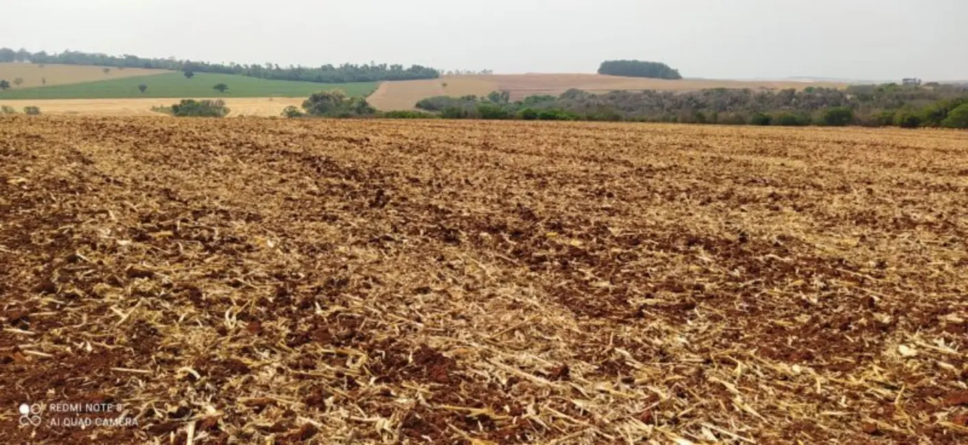 Foto 7 de Fazenda / Haras à venda, 108m2 em Área Rural de Campo Mourão, Campo Mourao - PR