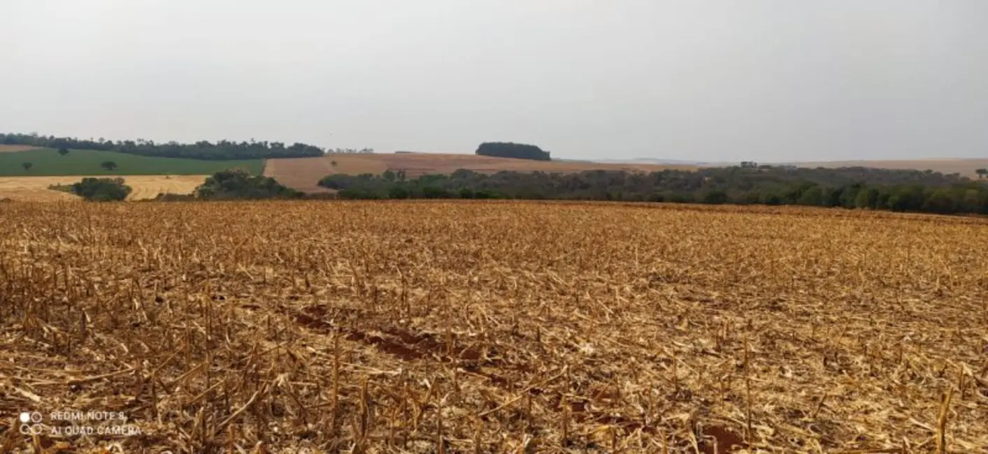 Foto 3 de Fazenda / Haras à venda, 108m2 em Área Rural de Campo Mourão, Campo Mourao - PR